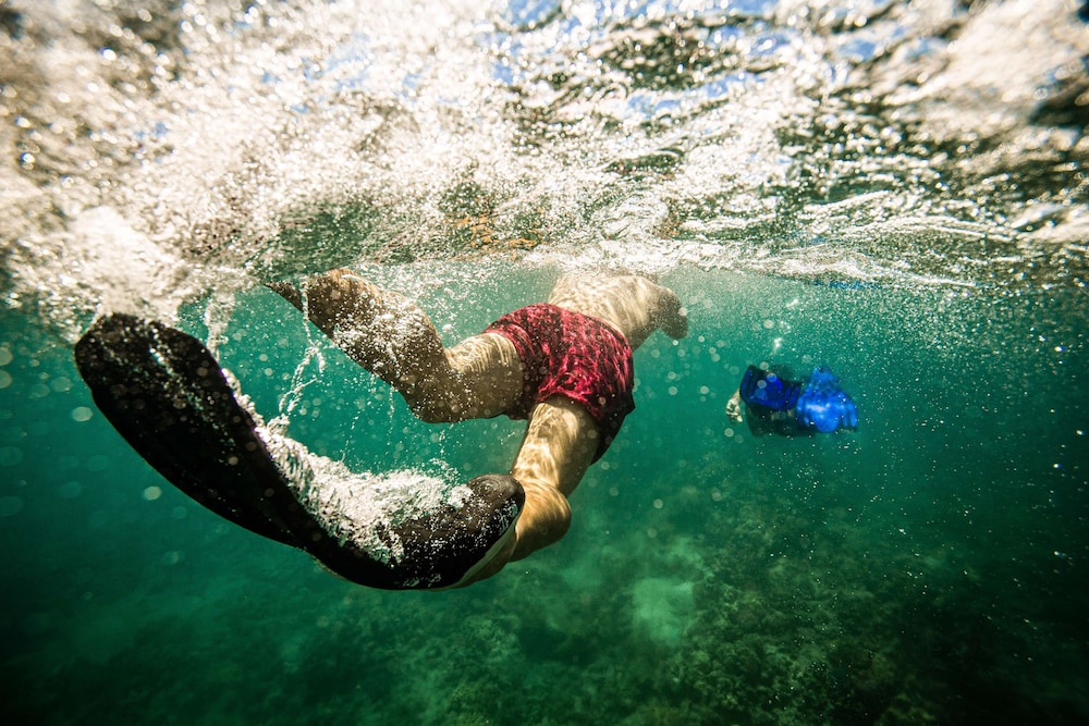 Fairmont Orchid - Property Image 182