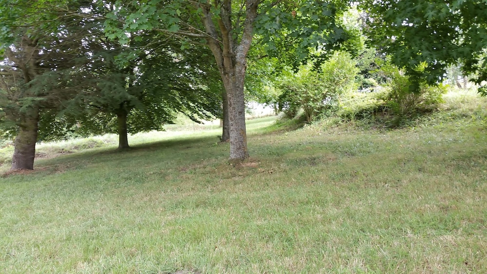 Photo 35