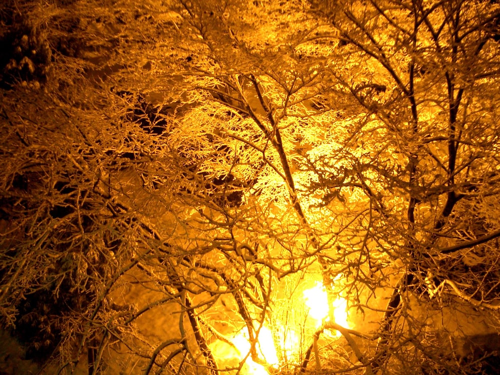 Hachikita Onsen Oyado Hisaya