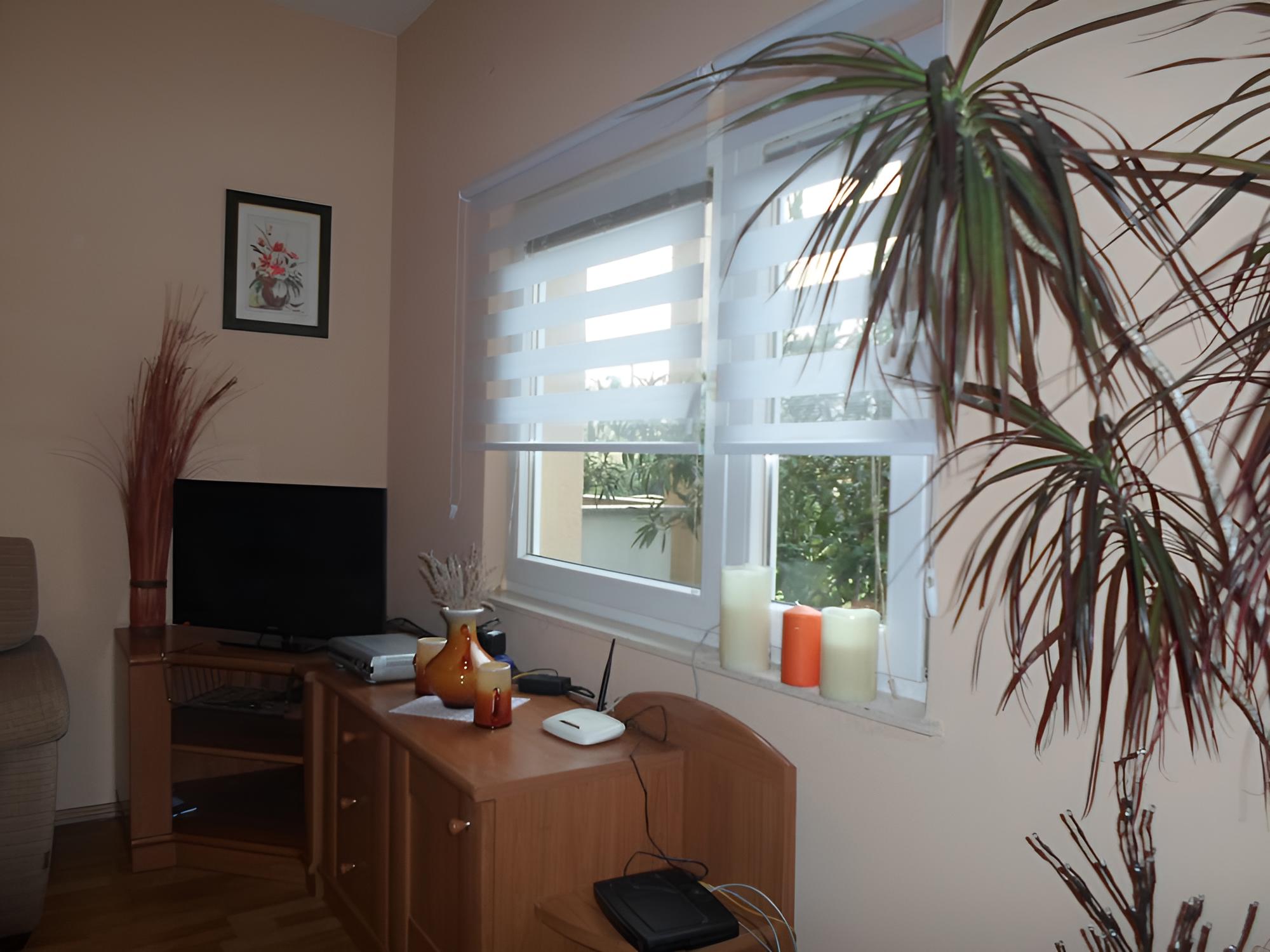 Apartmani Golic view 2
