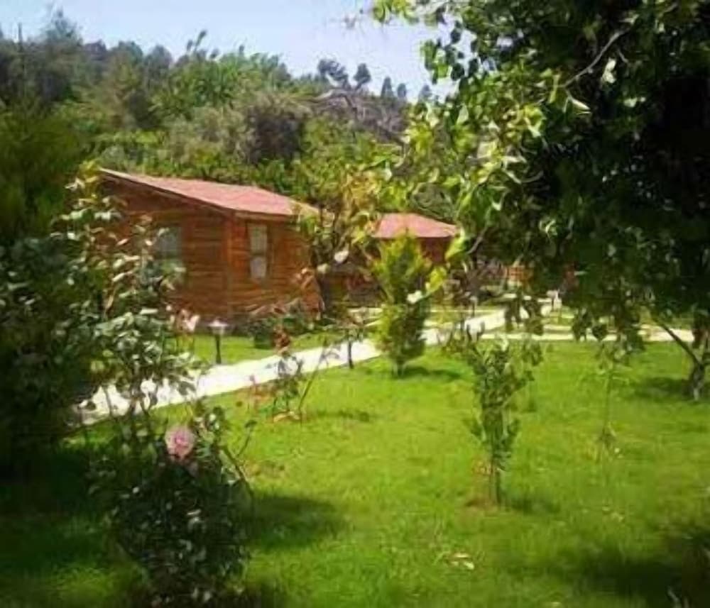 Photo 13