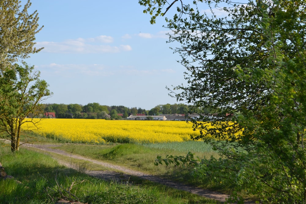pur NATUR & berlin ALEX 40min.