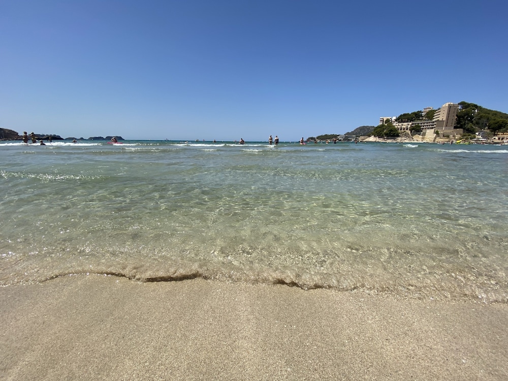 Photo 41