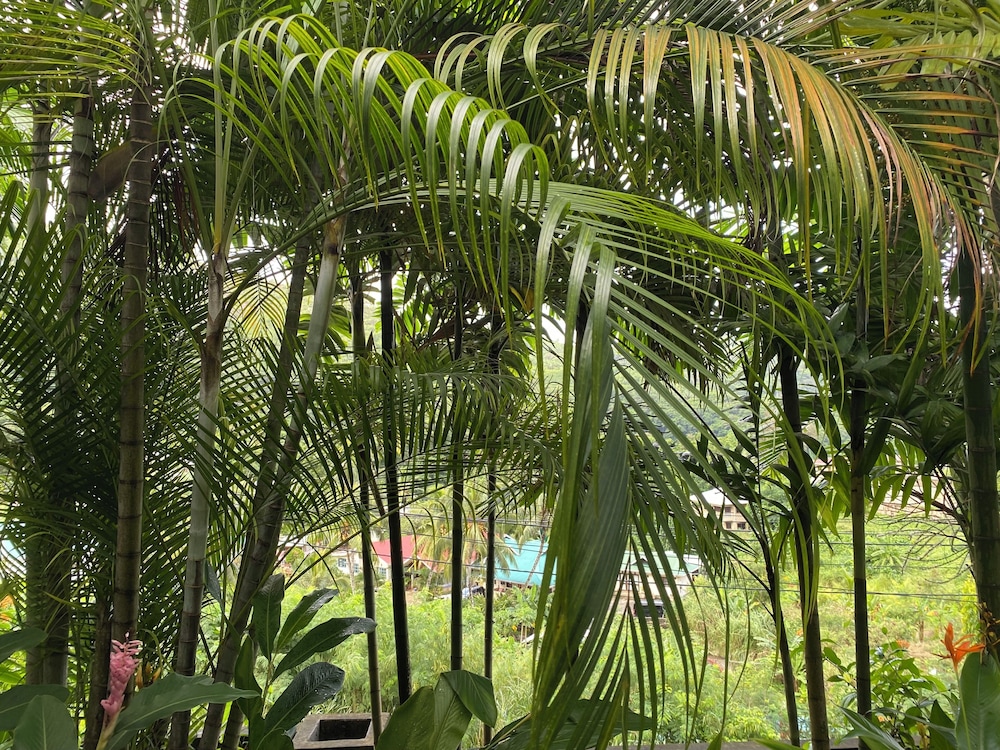 Stephna Residence
