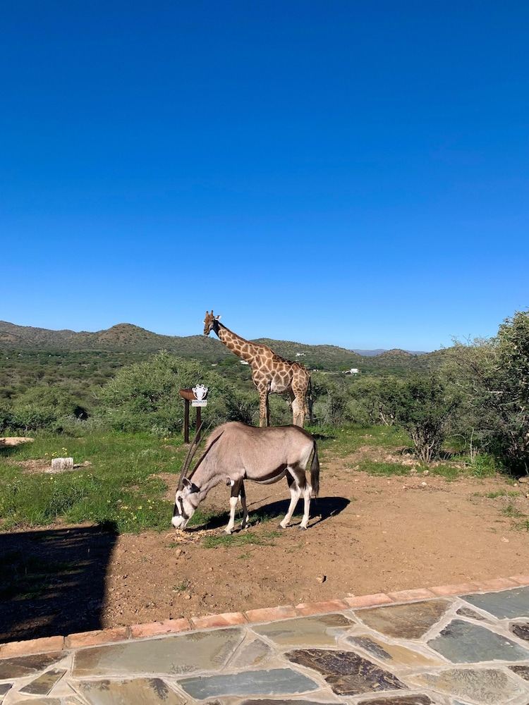 Windhoek Game Camp