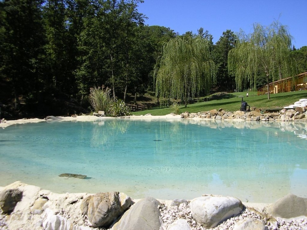 Photo 34