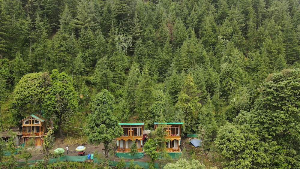 WOW Treehouse & Cottages