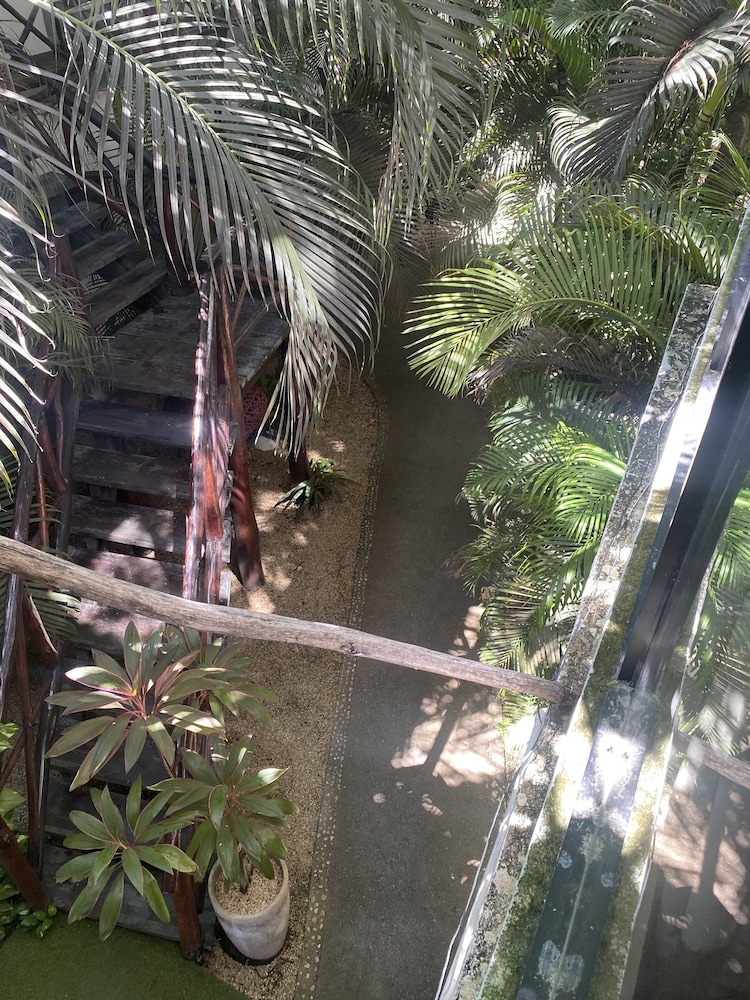 Pacha Tulum Boutique Hotel