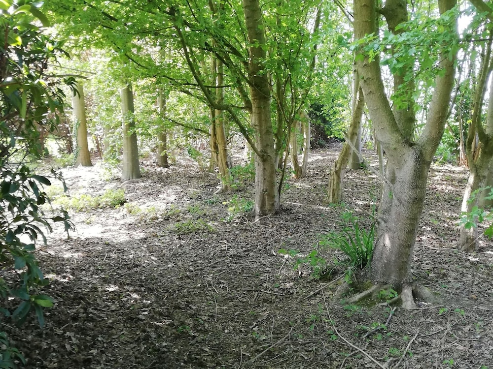 other