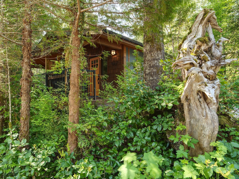 Handsome Dan's Port Renfrew