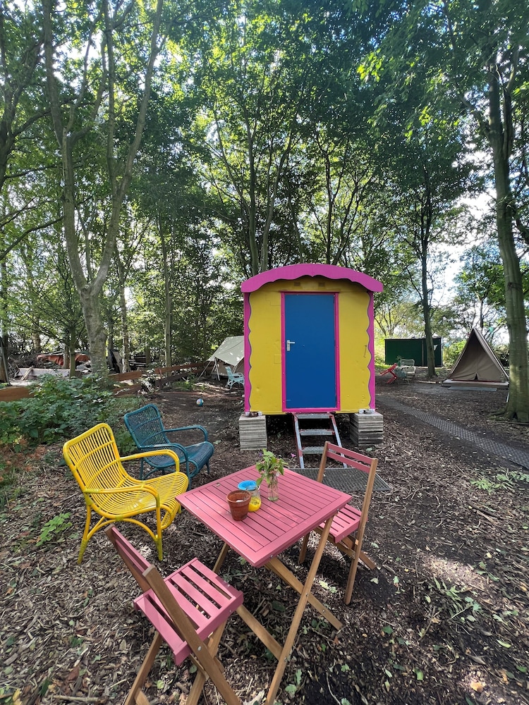 Camping De Helleborus