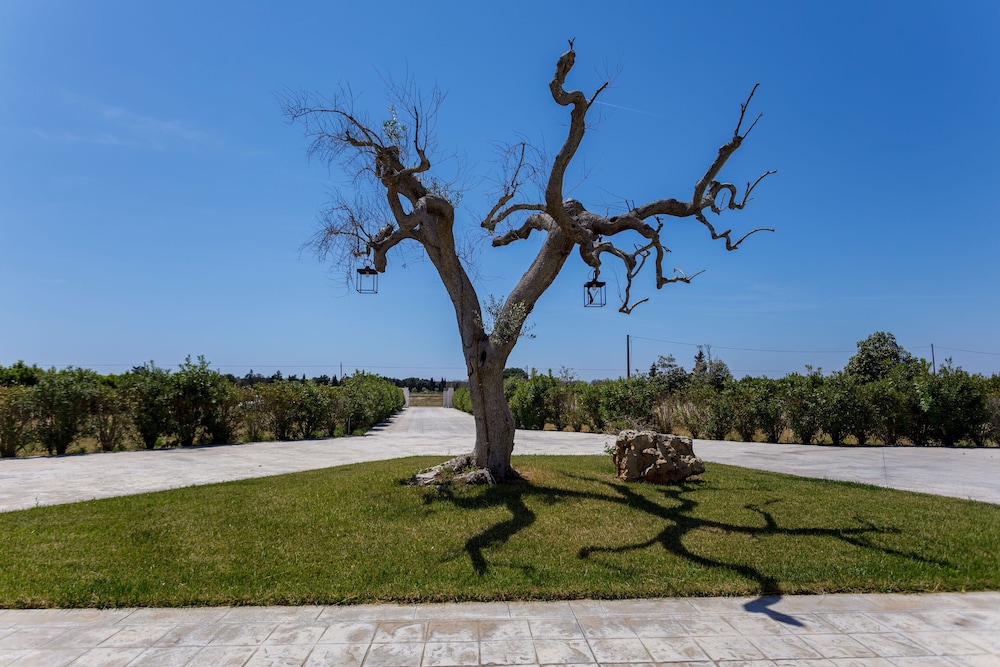 3704 Perla Dello Ionio by Perle di Puglia view 4