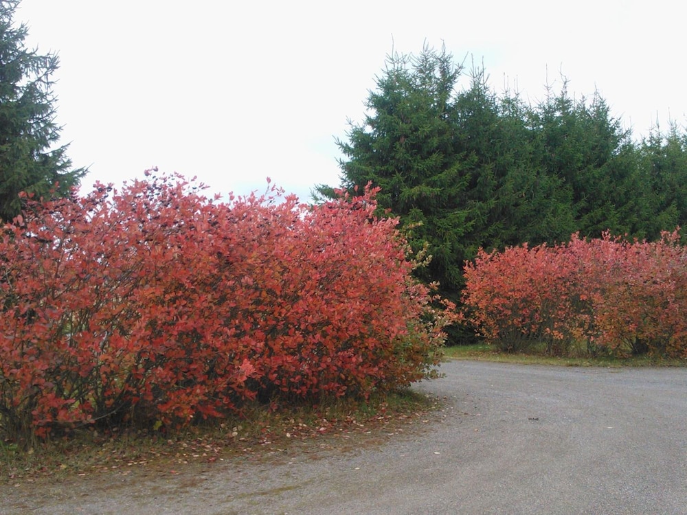 Majatalo Myötätuuli view 2