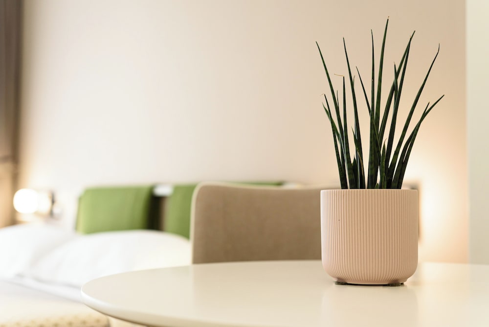 Alma Suites