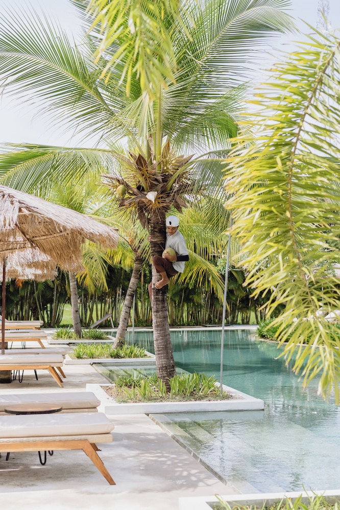 At Wind Chimes Boutique Hotel - Property Image 64