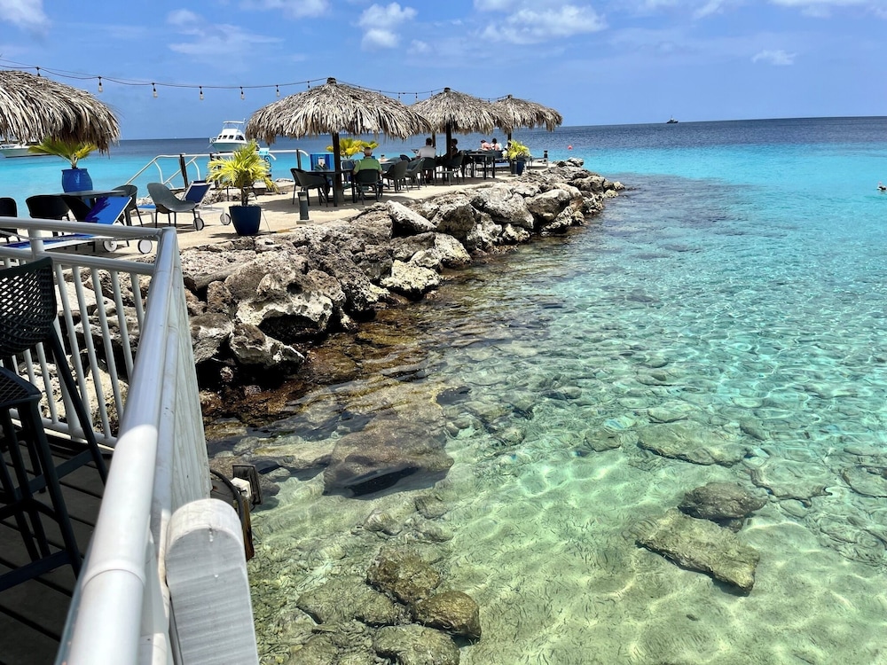 Divi Flamingo Beach Resort & Casino - Photo 45