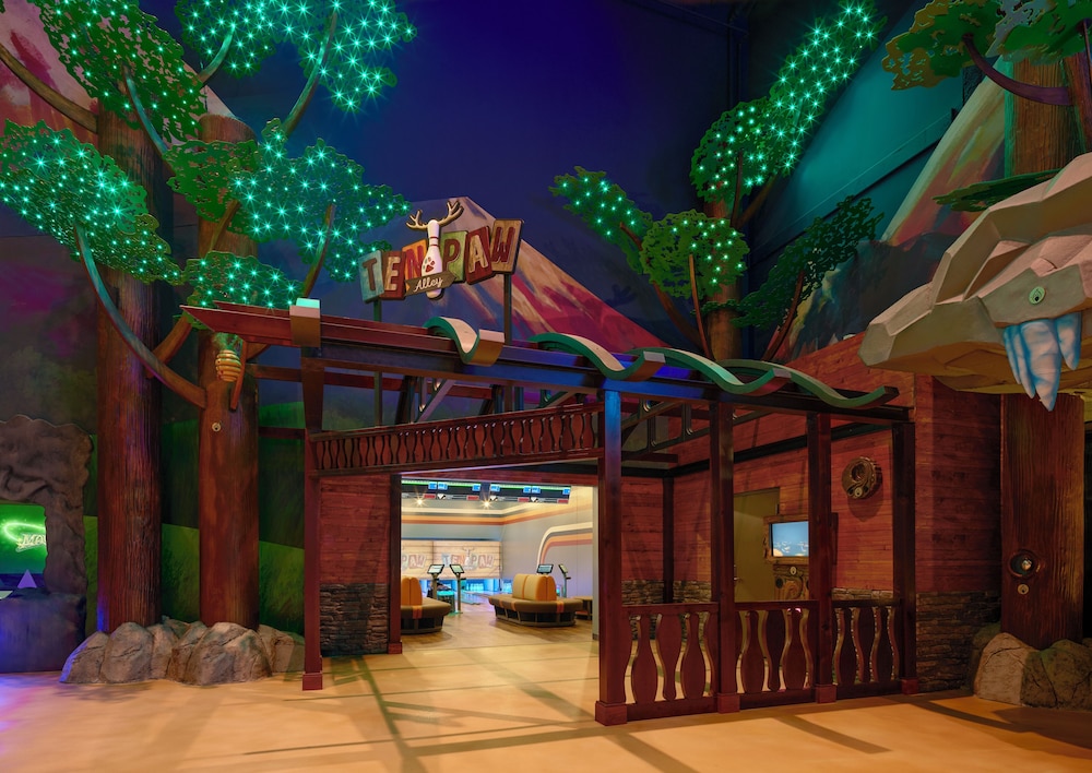 Great Wolf Lodge Webster