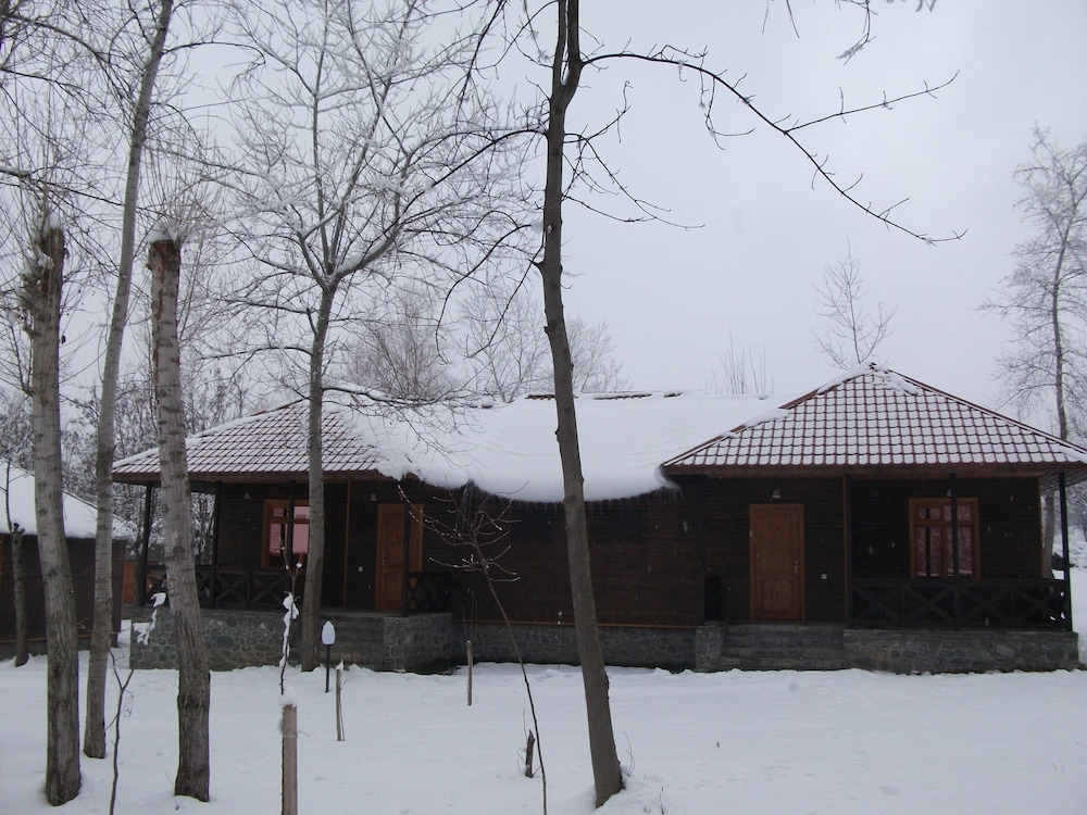 Photo 27
