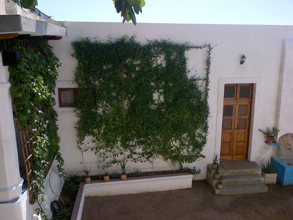 Jardim dos Aloés - Unique B&B, photo 90