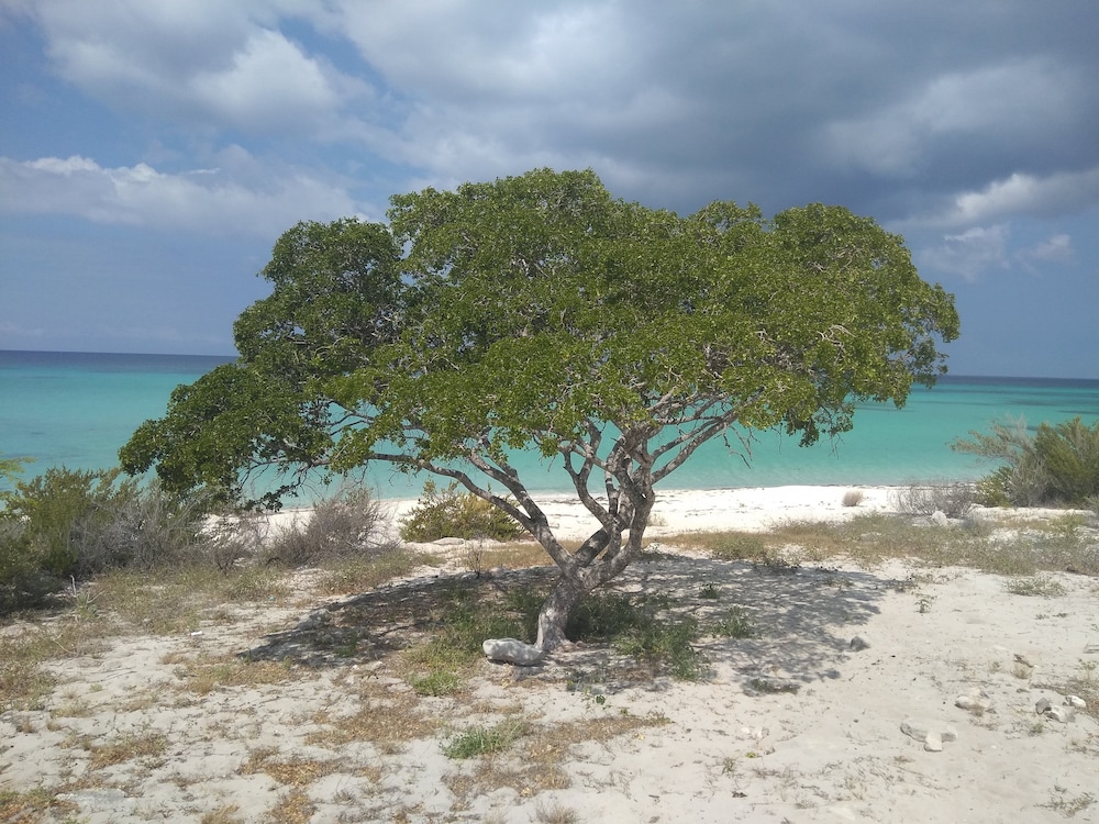 Photo 20