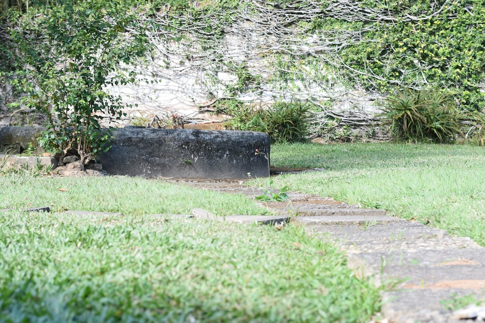 Fazenda São Fernando
