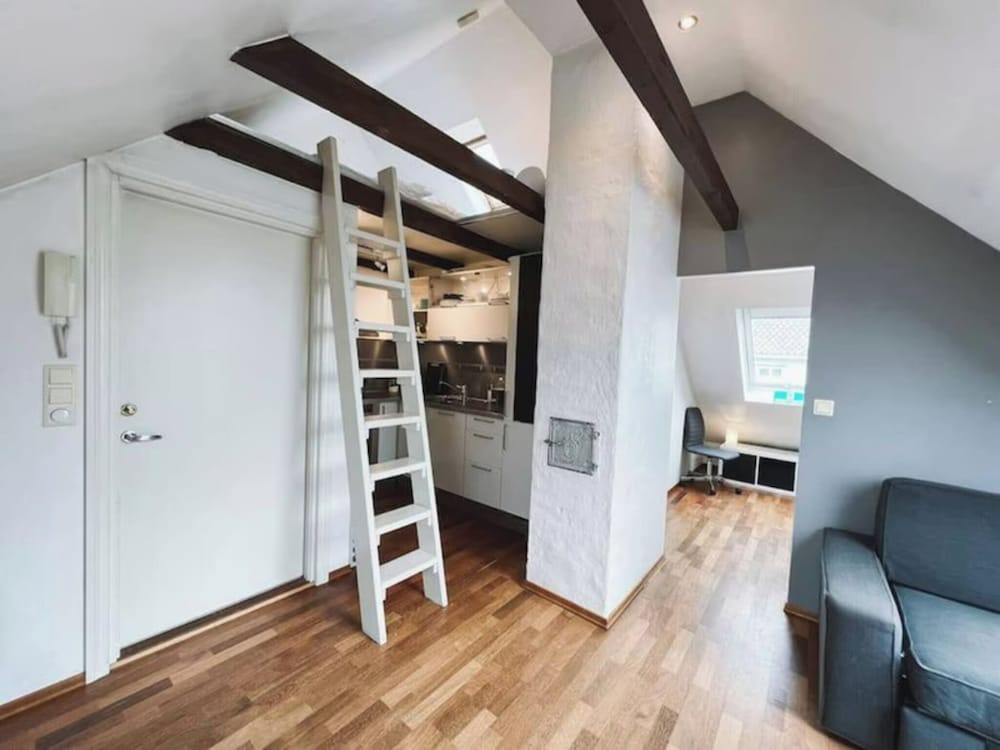 Apartment With Loft and Window Balcony