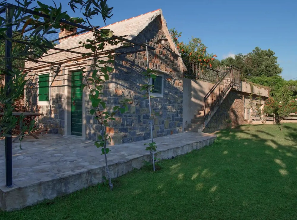 House of Green Experience