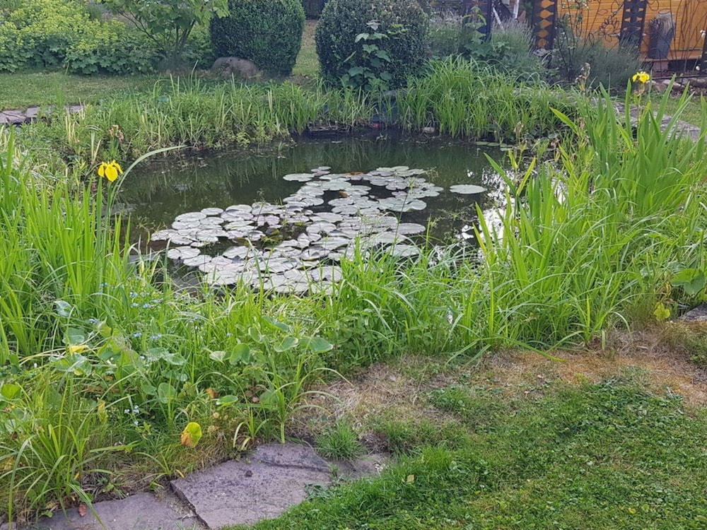 Holiday Home in the Large Garden