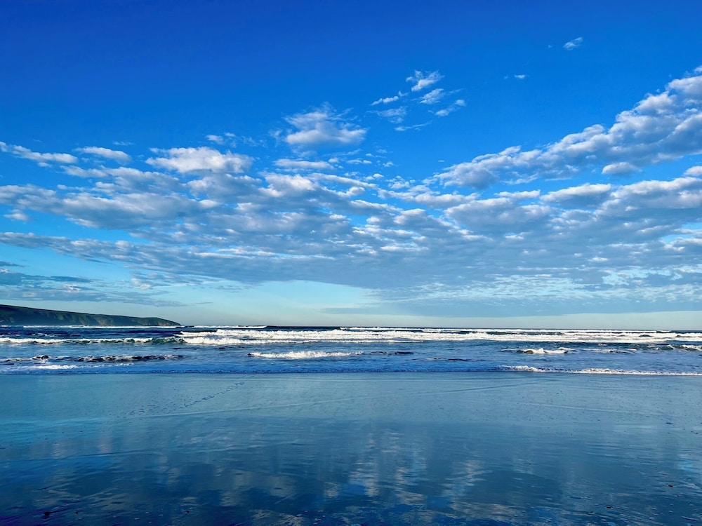Tomales Bay Resort and Marina view 2