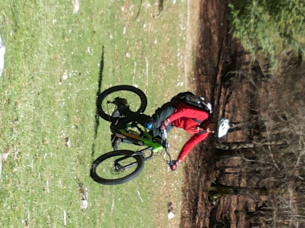 Photo 13
