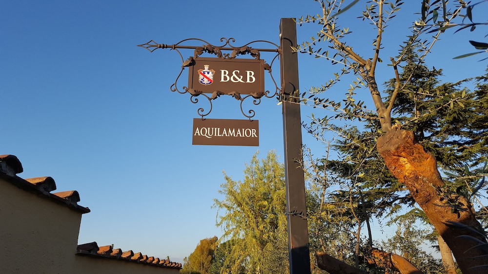 Aquilamaior
