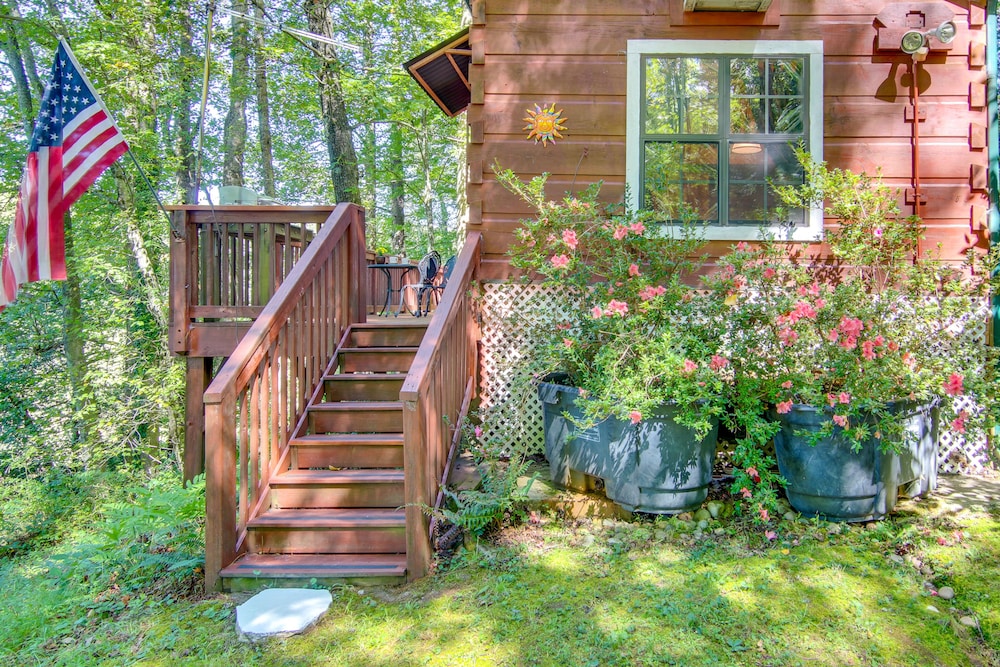 Hendersonville Creekside Cabin: Near Dupont Forest view 3