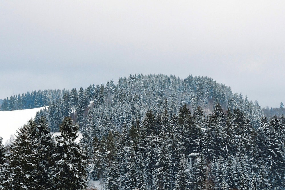 Holiday Flat in Altenau Near Harz Mountains