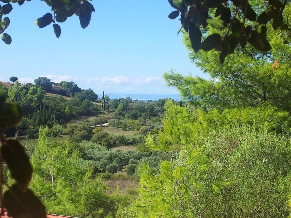 Stunning Treehouse 10 Mins From Sandy Beaches view 4