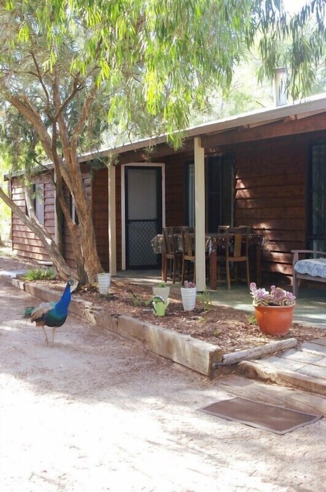 Photo 14