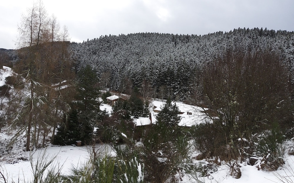 Photo 43