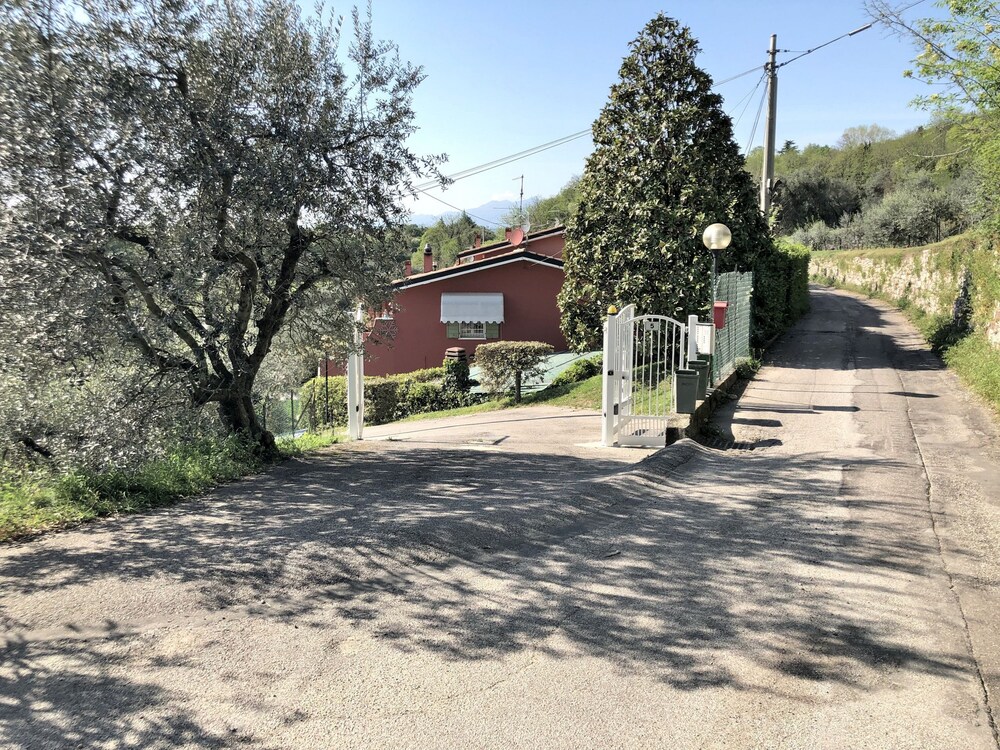 Photo 6