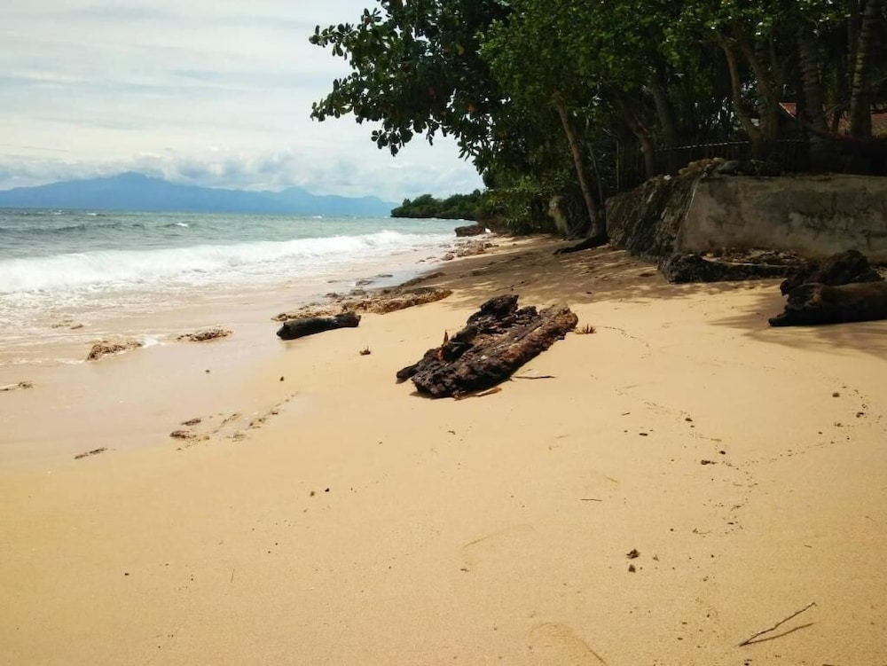 Toris Backpackers Paradise