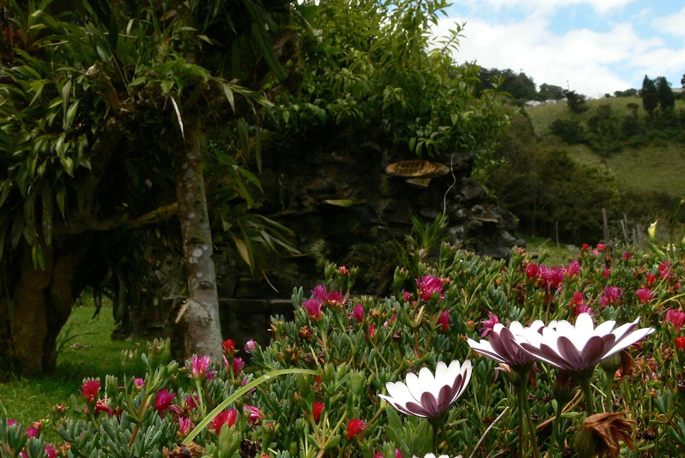 Rutun Orquídeas