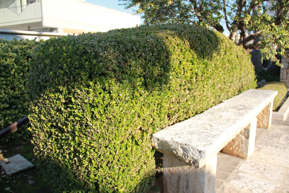 Photo 31