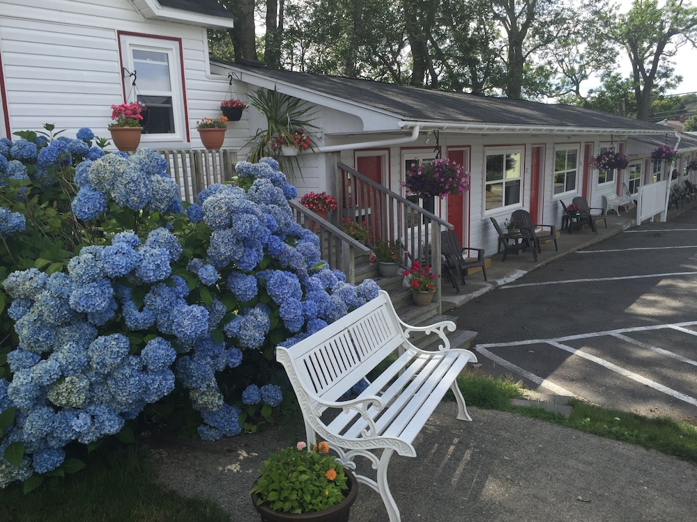 Lakelawn B&B Motel