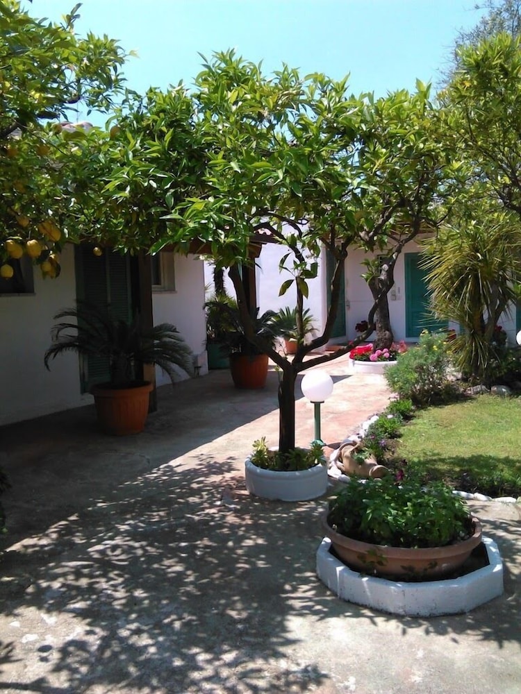 Photo 10