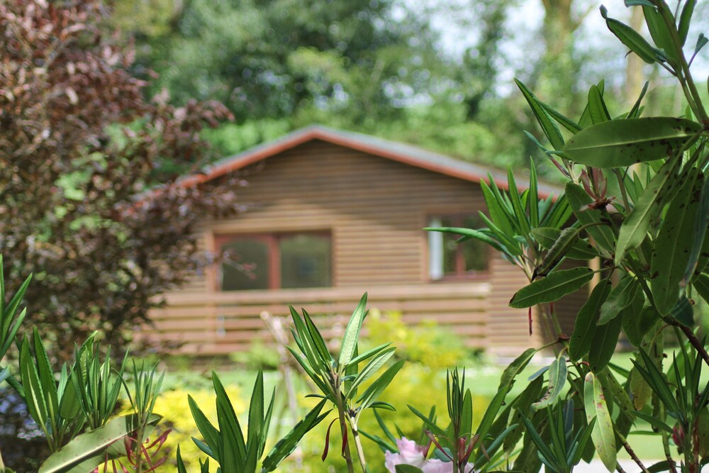 Bodmin Vacations - Ruthern Valley Holidays - Property Image 10