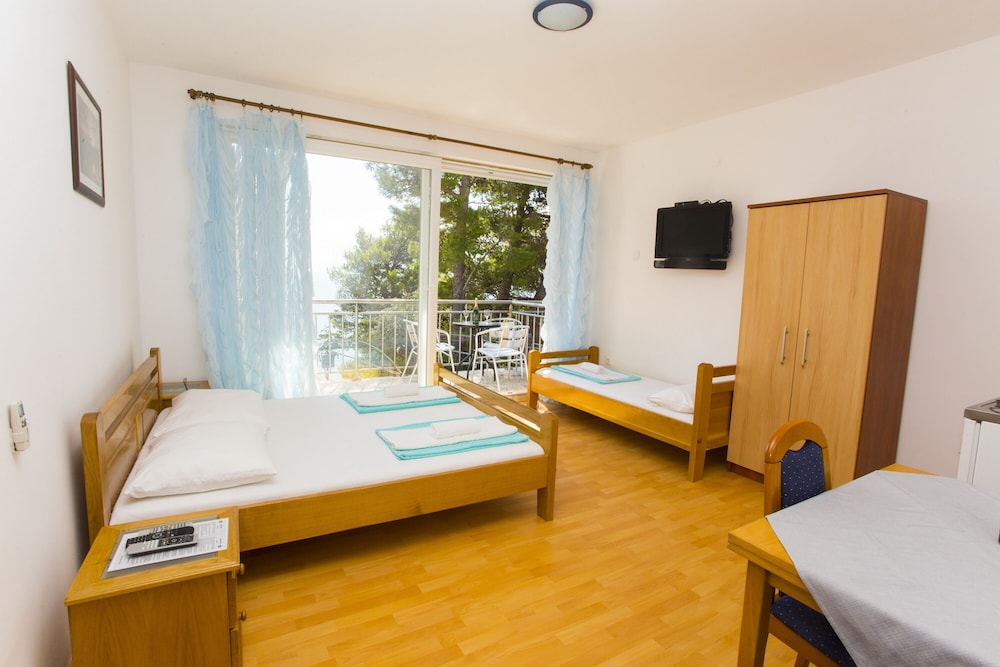 Apartmani Villa Dvorski view 4