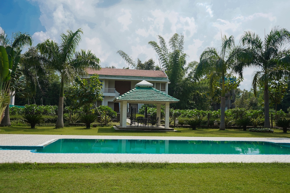 Photo 41