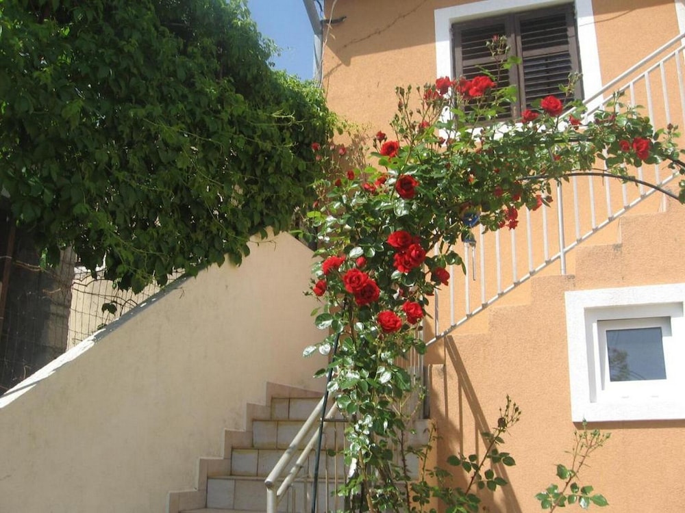 Apartment Luca