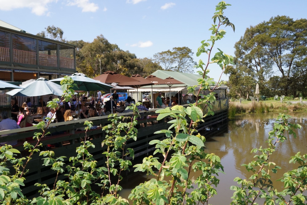 Gisborne Peak Winery Cottages