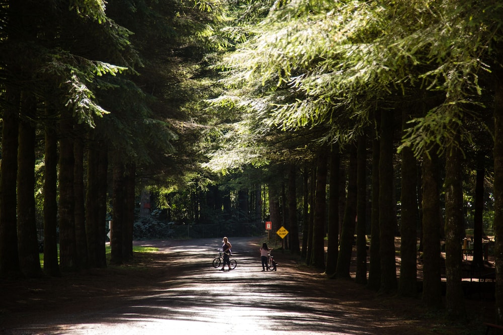 Paradise RV Campground