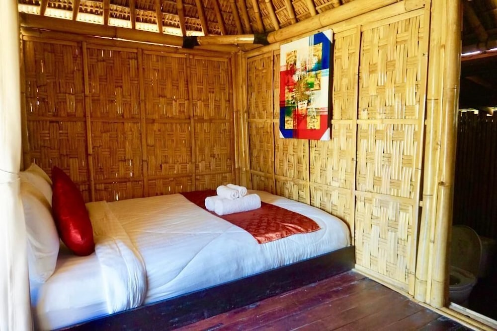 Green Bamboo view 5