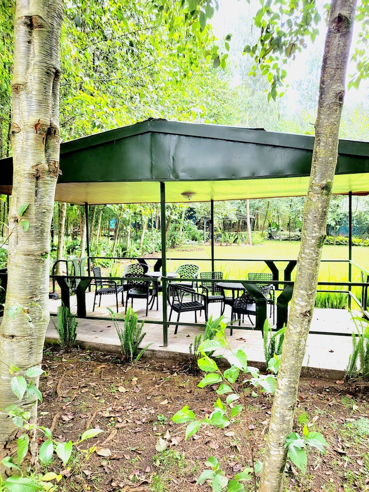 Bambou Gorila Hotel